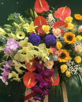 Ươm Nắng - belovedbeyond.com