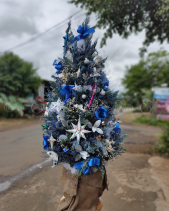 An Nhiên - belovedbeyond.com