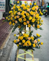 Vững Tiến - belovedbeyond.com