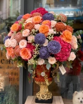 Toả Nắng - belovedbeyond.com