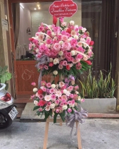 Sức Sống - belovedbeyond.com