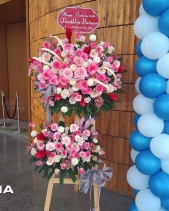 Sức Sống - belovedbeyond.com