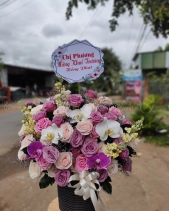 Lẵng Hoa - belovedbeyond.com