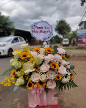 Lẵng Hoa Chúc Mừng - belovedbeyond.com