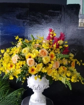 Khát Khao - belovedbeyond.com