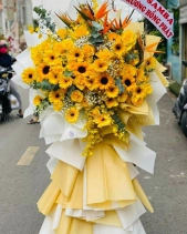 Vươn Xa - belovedbeyond.com