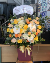 Tình Nồng - belovedbeyond.com