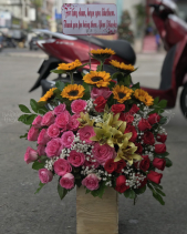 Sớm Mai - belovedbeyond.com