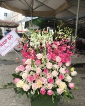 Rực Rỡ - belovedbeyond.com