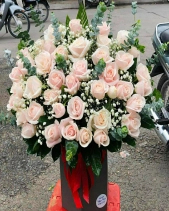 Thương Thầm - belovedbeyond.com