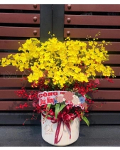 Đầm Ấm - belovedbeyond.com