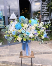 Nồng Thắm - belovedbeyond.com