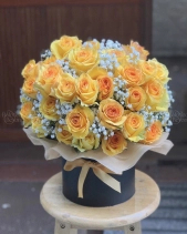 Hoàng Kim - belovedbeyond.com