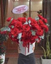 Tình Đầu - belovedbeyond.com