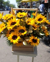 May Mắn - belovedbeyond.com