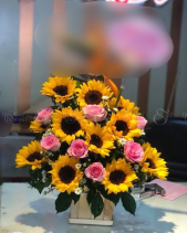 Father ;  Ba Yêu ; Người Tuyệt Vời Nhất - belovedbeyond.com