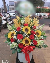 Cảm Ơn - belovedbeyond.com