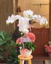 Đoàn Tụ - belovedbeyond.com