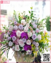 Tình Nồng - belovedbeyond.com