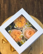 Thương Thầm - belovedbeyond.com