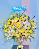 Cao Cả - belovedbeyond.com