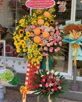 Thành Công - belovedbeyond.com