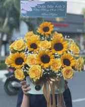 Toả Nắng - belovedbeyond.com