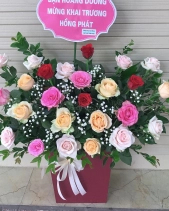 Lẵng Hoa Chúc Mừng - belovedbeyond.com