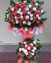 Viên Mãn - belovedbeyond.com