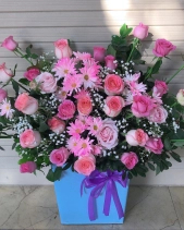 Đông Sang - belovedbeyond.com