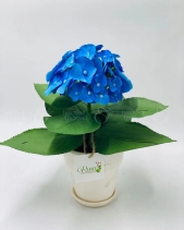 Rực Rỡ - belovedbeyond.com
