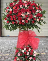 Vững Tiến - belovedbeyond.com