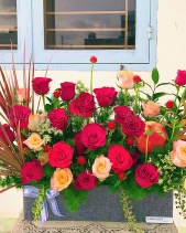 Thăng Tiến - belovedbeyond.com