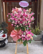 Thành Công - belovedbeyond.com