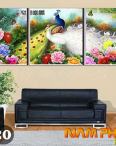 Tranh Canvas Phong Cảnh Chim Công Np720 - belovedbeyond.com