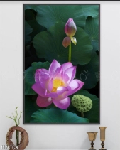 Tranh Hoa Sen 1178Tck - belovedbeyond.com