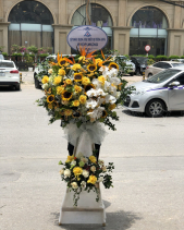 Toả Sáng - belovedbeyond.com