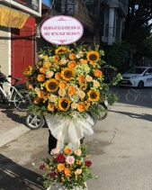 Vươn Xa - belovedbeyond.com
