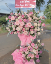 D603501 - belovedbeyond.com