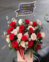 Xinh Xắn - belovedbeyond.com