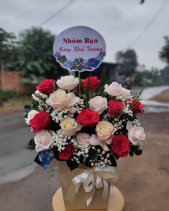 Thu Về - belovedbeyond.com