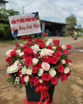 Đông Sang - belovedbeyond.com