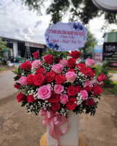 Rực Rỡ - belovedbeyond.com