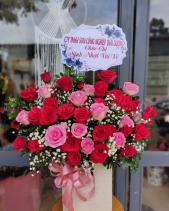 Rực Rỡ - belovedbeyond.com