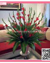 Nắng Hạ - belovedbeyond.com