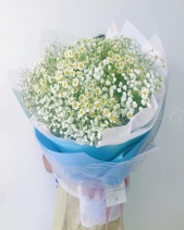 Bó Hoa Baby Trắng Mix Tana - belovedbeyond.com