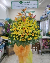 Kệ Khai Trương Tông Vàng 01 - belovedbeyond.com
