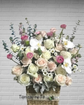 Lẵng Hoa Hồng Mix Hồ Điệp Trắng - belovedbeyond.com