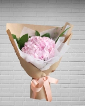 Tiệm Hoa Mẹ Tít - Tú Cầu Hồng - belovedbeyond.com