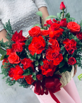 F2M - Nồng Thắm - belovedbeyond.com